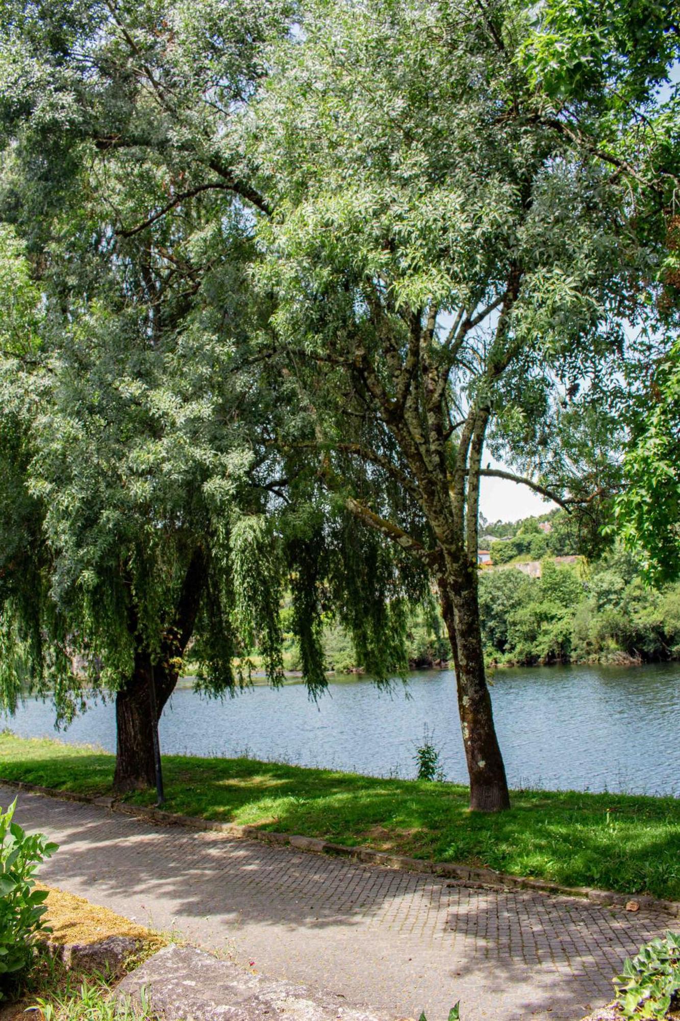 Casa Das Fontes Ponte da Barca Eksteriør billede